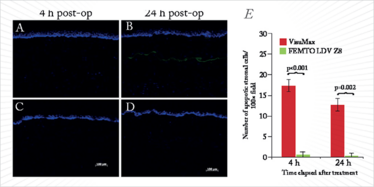 0215-801-4-fig2 0215-801-4-fig2