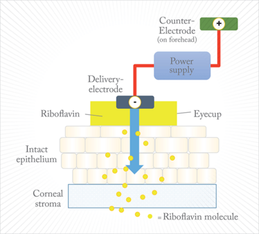 0315-401-fig6 0315-401-fig6