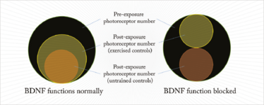 0314-201-fig.1 0314-201-fig.1