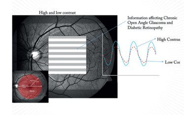 Therefore, electrophysiological tests not only provide information on where certain defects lie within in the neuro-visual pathway, but also what retinal cell types are dysfunctional. Such information offers a useful, totally objective addition to the oph Therefore, electrophysiological tests not only provide information on where certain defects lie within in the neuro-visual pathway, but also what retinal cell types are dysfunctional. Such information offers a useful, totally objective addition to the oph