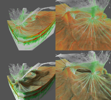 0115-301-fig.1 0115-301-fig.1