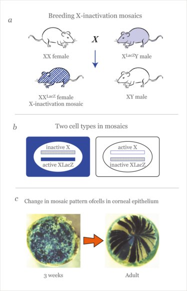 0914-301-fig.3 0914-301-fig.3