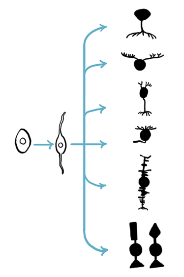 0215-602-fig1-450 0215-602-fig1-450
