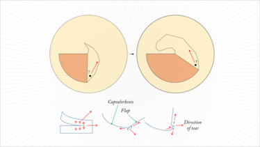 0214-401-fig.2 0214-401-fig.2
