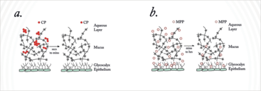 0814-301-FIGURE3 0814-301-FIGURE3
