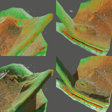 0115-301-fig2x345 0115-301-fig2
