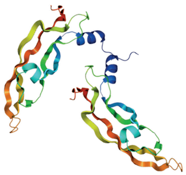 0315-201-main-450 0315-201-main-450