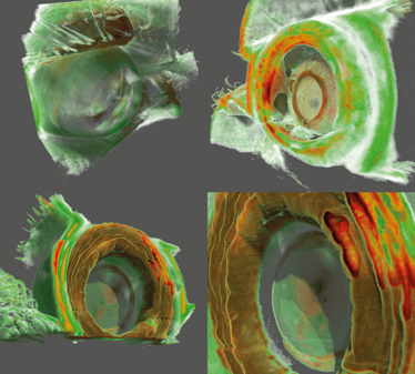 0115-301-fig8 0115-301-fig8