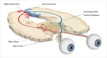 1014-301-feature-fig1 1014-301-feature-fig1