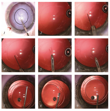 0214-402-fig.1 0214-402-fig.1