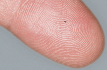 0414-402-fig.4 0414-402-fig.4
