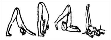 0614-203-yoga yoga positions