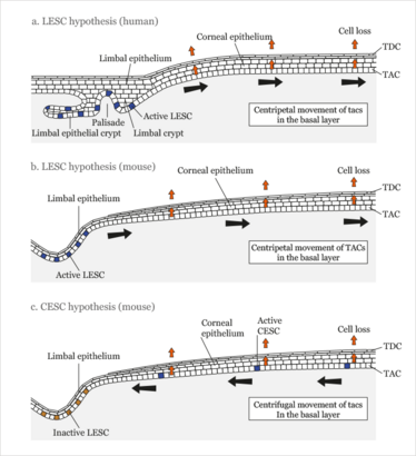 0914-301-fig2 0914-301-fig2