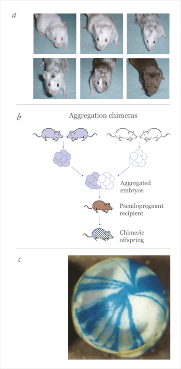 0914-301-FIG.1 0914-301-FIG.1