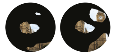 0213-501_fig1 0213-501_fig1