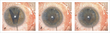 0114-401-fig3 0114-401-fig3